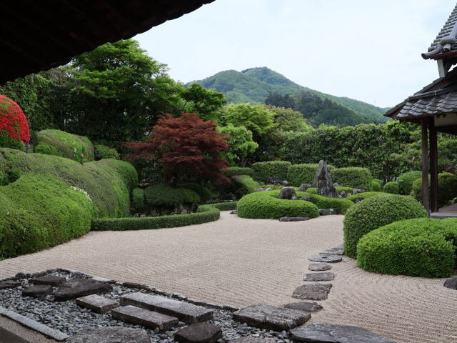 250428a.jpg