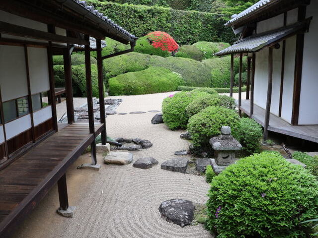 250428b.jpg