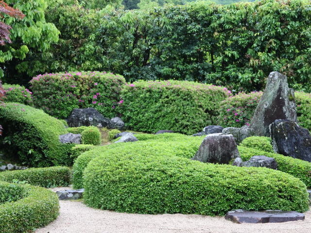 250502b.jpg
