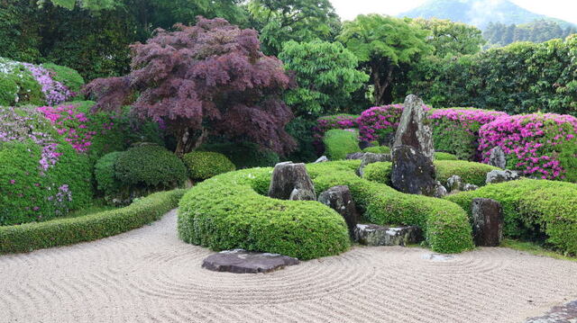 250507b.jpg