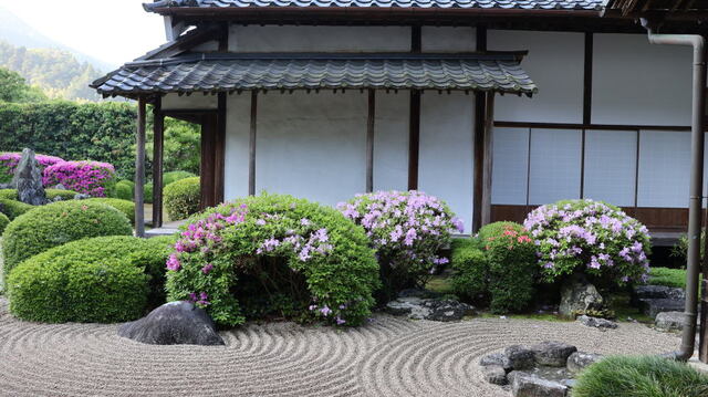 250513b.jpg