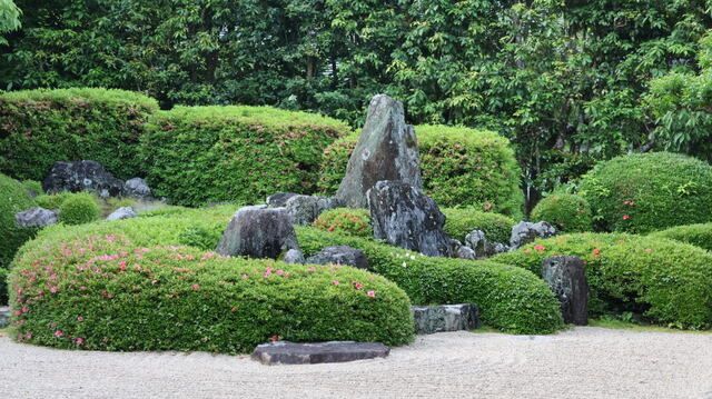 250523b.jpg