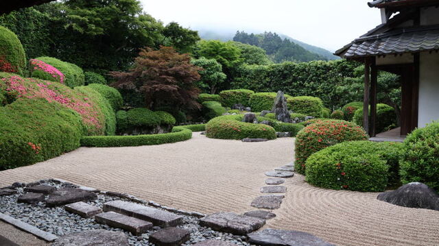 250527b.jpg