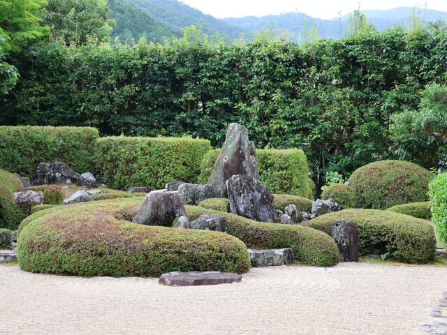 250713b.jpg