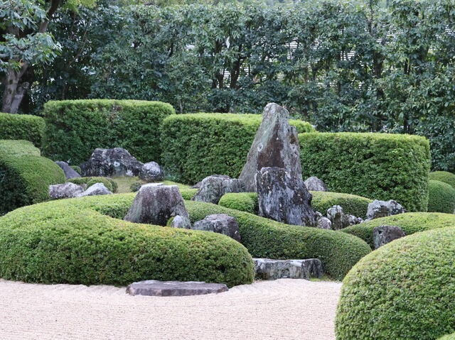 251025b.jpg
