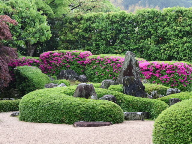 260504b.jpg