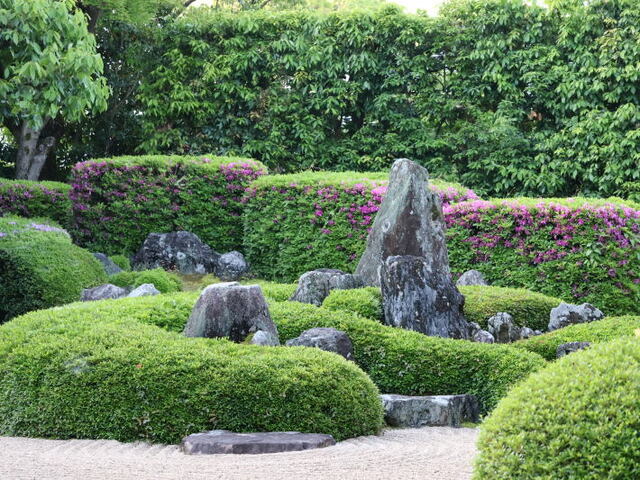 260510b.jpg