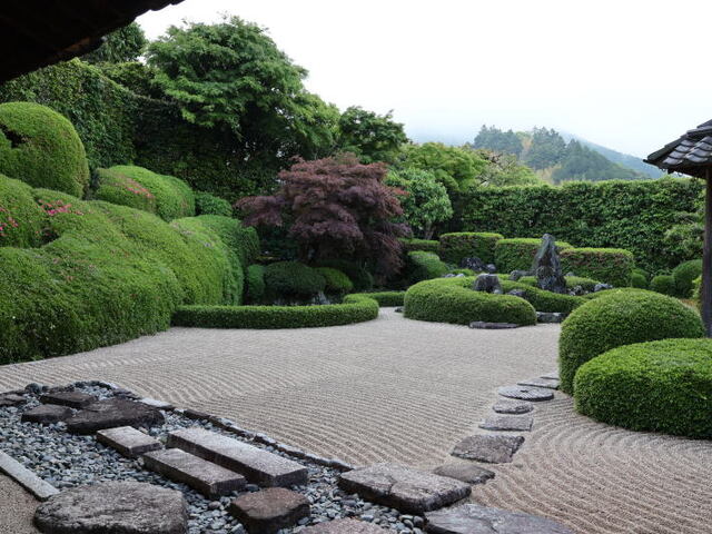 260514a.jpg