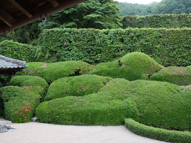 260514b.jpg