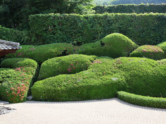 260516b.jpg
