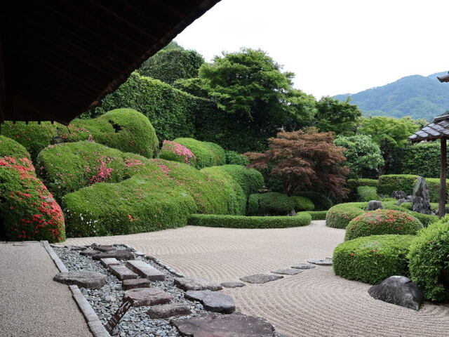 260520b.jpg