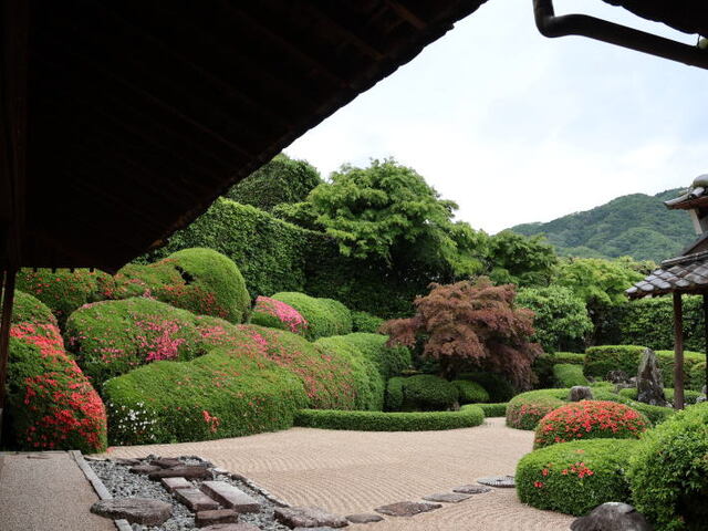 260522b.jpg