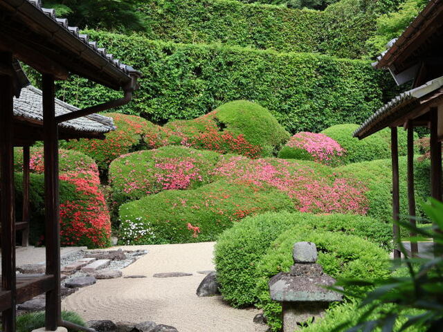 260524a.jpg