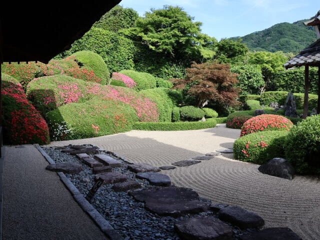 260524b.jpg