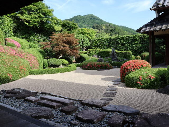 260524c.jpg