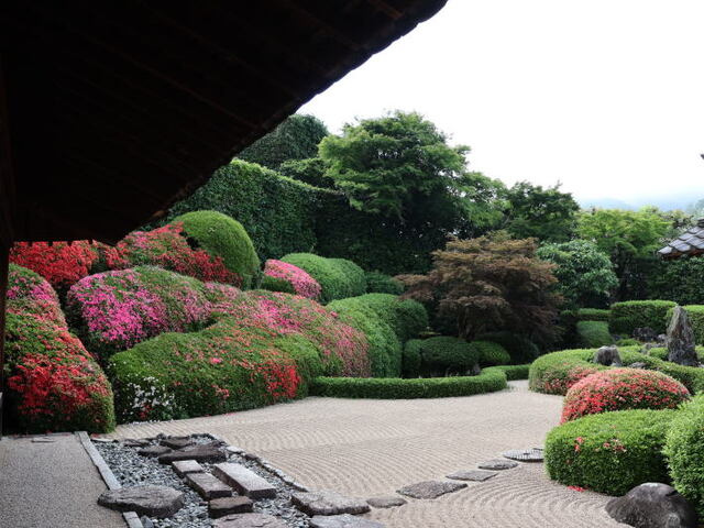 260529b.jpg