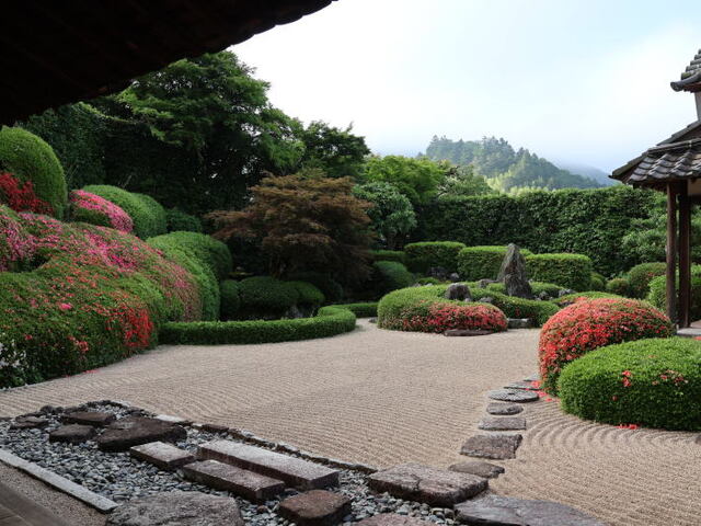 260529c.jpg