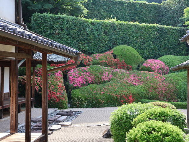 260531a.jpg