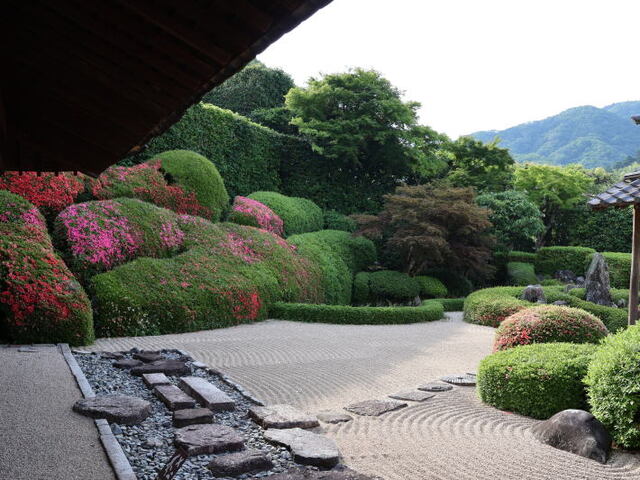 260531b.jpg