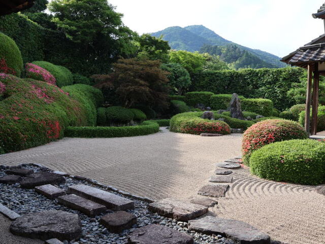 260531c.jpg
