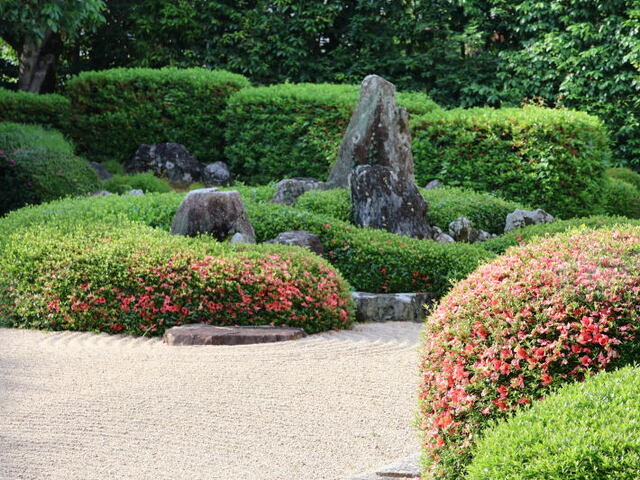 260531d.jpg