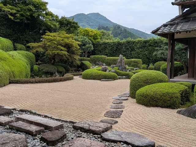 260708c.jpg